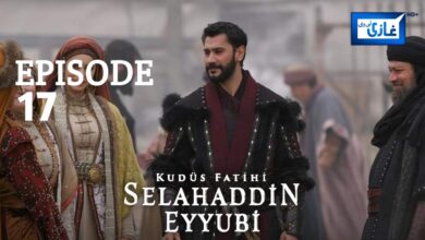 Salahuddin Ayubi Episode 17 in English Subtitles Free